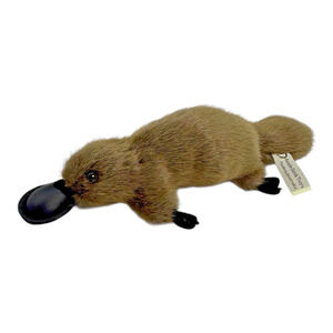 Realistic Platypus Plush by Aussie Bush Toys 12” Brown Stuffed Animal Australia